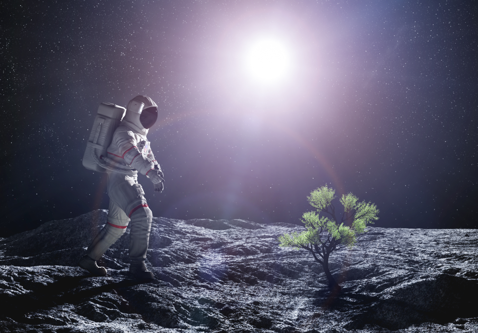 "Lunar farmers?" Scientists have grown plants in moon soil Industry